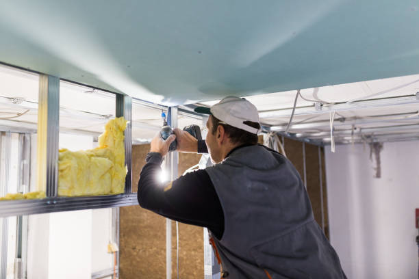 Best Cellulose Insulation in Von Ormy, TX