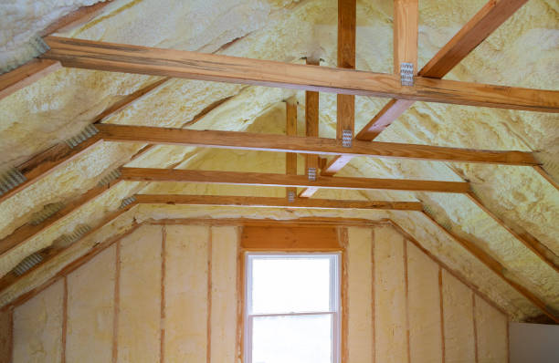 Best Geographic-Specific Insulation Services in Von Ormy, TX