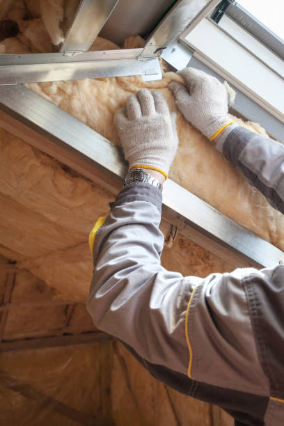 Best Eco-Friendly Insulation in Von Ormy, TX