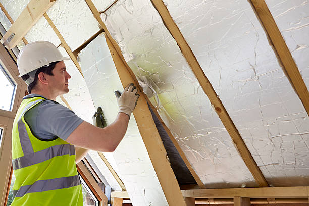 Best Fiberglass Insulation in Von Ormy, TX