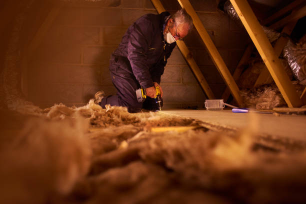 Best Spray Foam Insulation in Von Ormy, TX